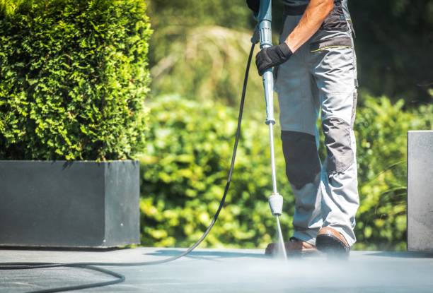 Pre-Holiday Cleaning in South Daytona, FL